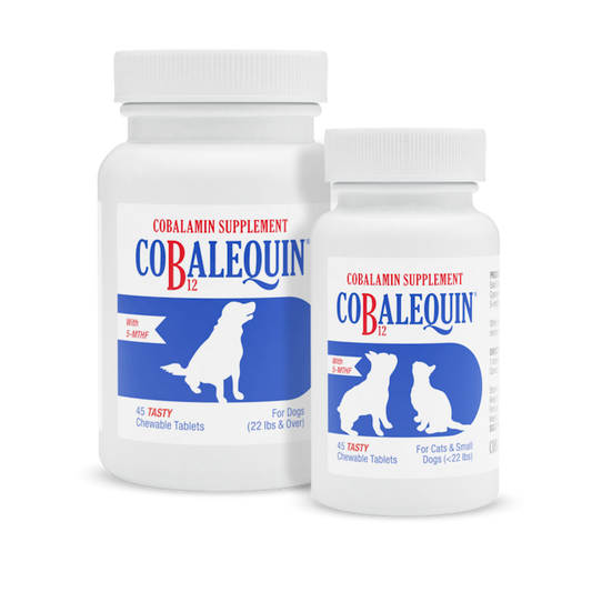 Cobalequin® B12 Supplement