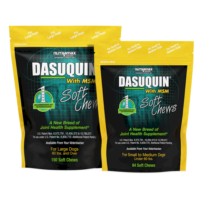 Dasuquin® With MSM Soft Chews