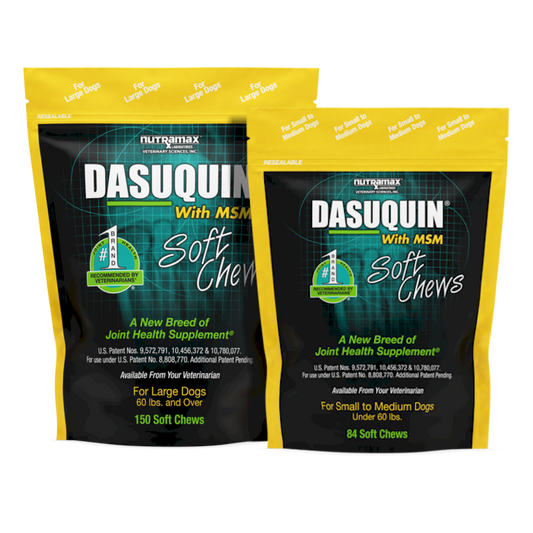 Dasuquin® With MSM Soft Chews