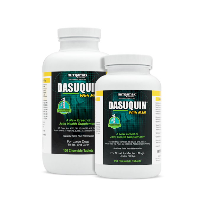 Dasuquin® with MSM Chewable Tablets