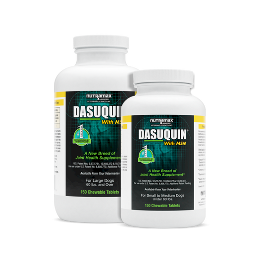 Dasuquin® with MSM Chewable Tablets