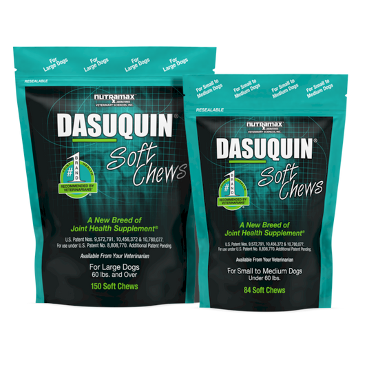 Dasuquin® Soft Chews