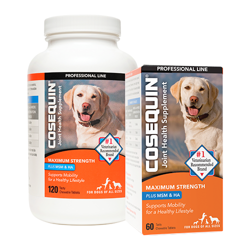 Cosequin® Maximum Strength Plus MSM & HA