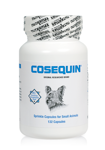 Cosequin® Regular Strength Capsules